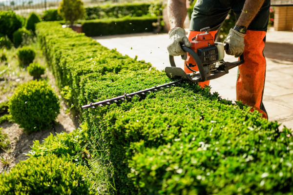 Entretien de jardin à Lorient
