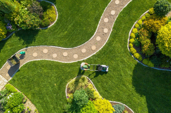 Plantation de pelouse et d'arbustes à Lorient