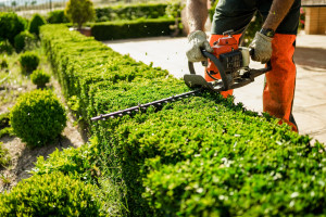Entretien de jardin à Lorient